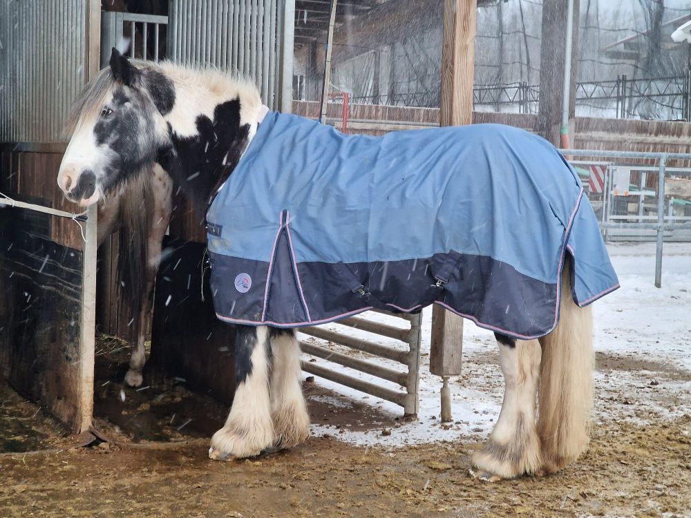 2023 12 Dezember 640